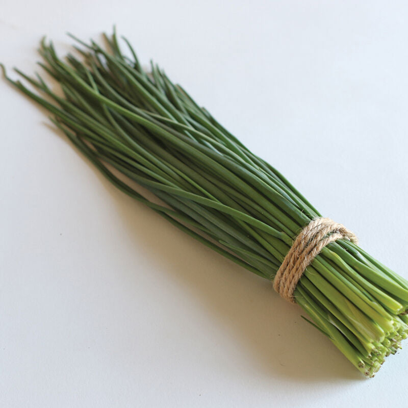 LGP Bundle - Herb Mix (Spring)