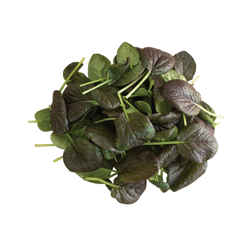 LGP Bundle - Greens Mix (Spring)