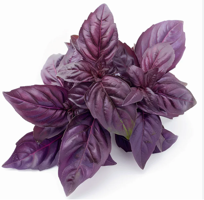 LGP Bundle - Herb Mix (Spring)