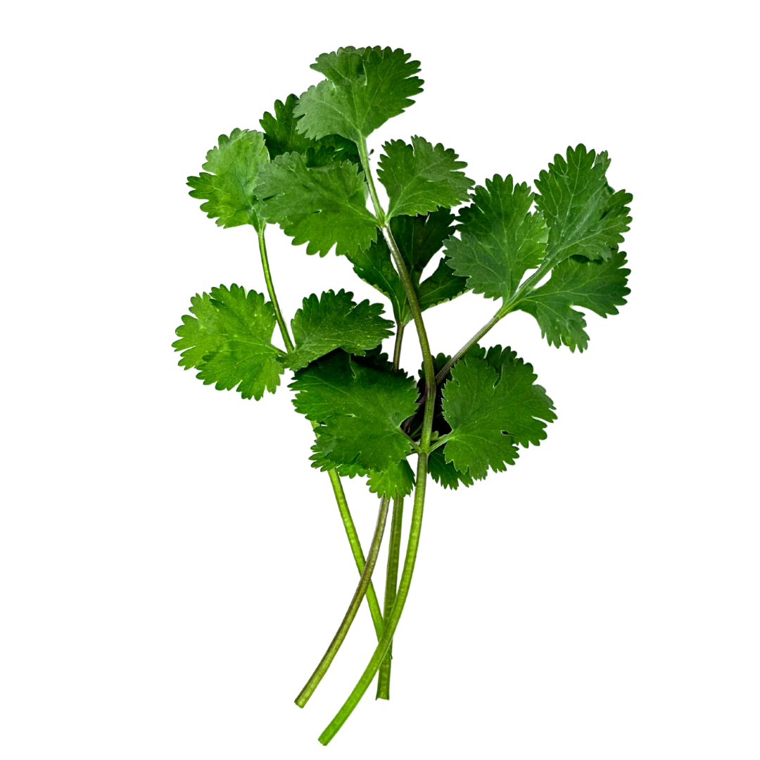 LGP Bundle - Herb Mix (Spring)