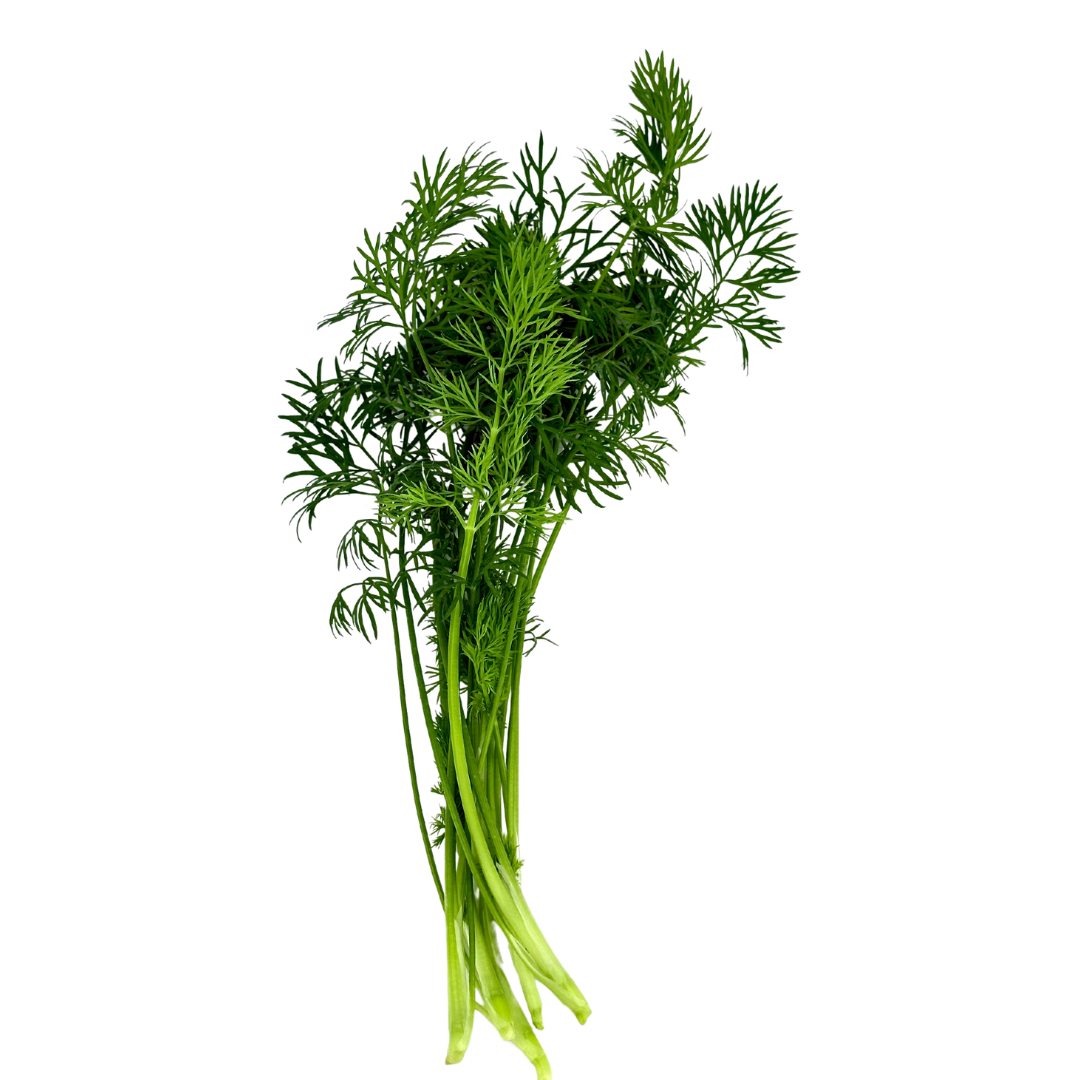 LGP Bundle - Herb Mix (Spring)