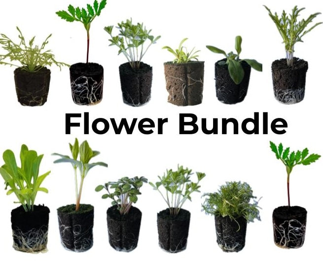 LGP Bundle - Flower Bundle (Spring)