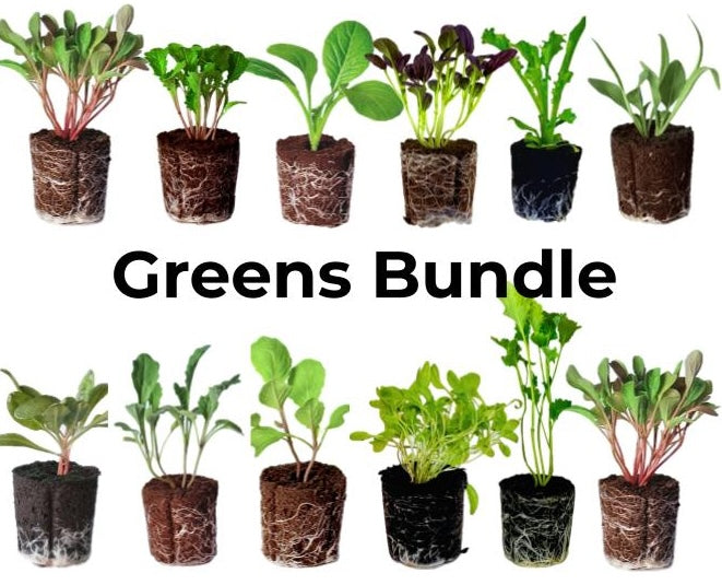 LGP Bundle - Greens Mix (Spring)