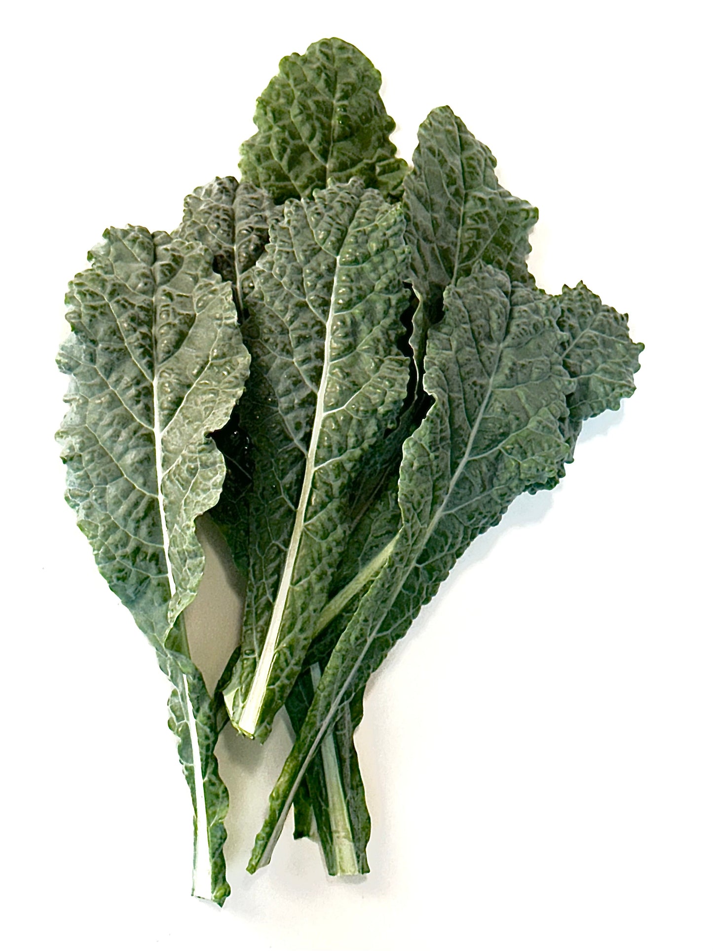 LGP Bundle - Greens Mix (Spring)