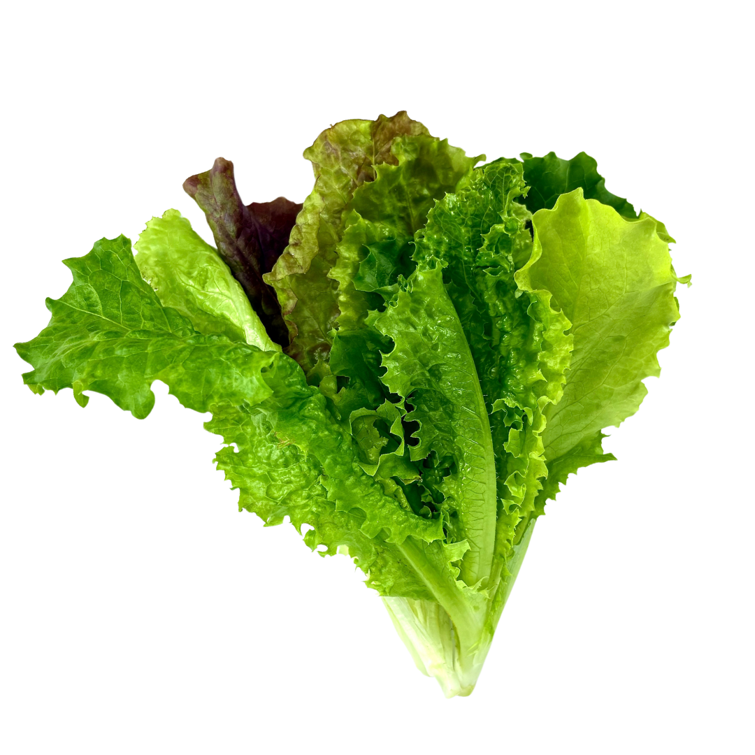 LGP Bundle - Lettuce Mix (Spring)