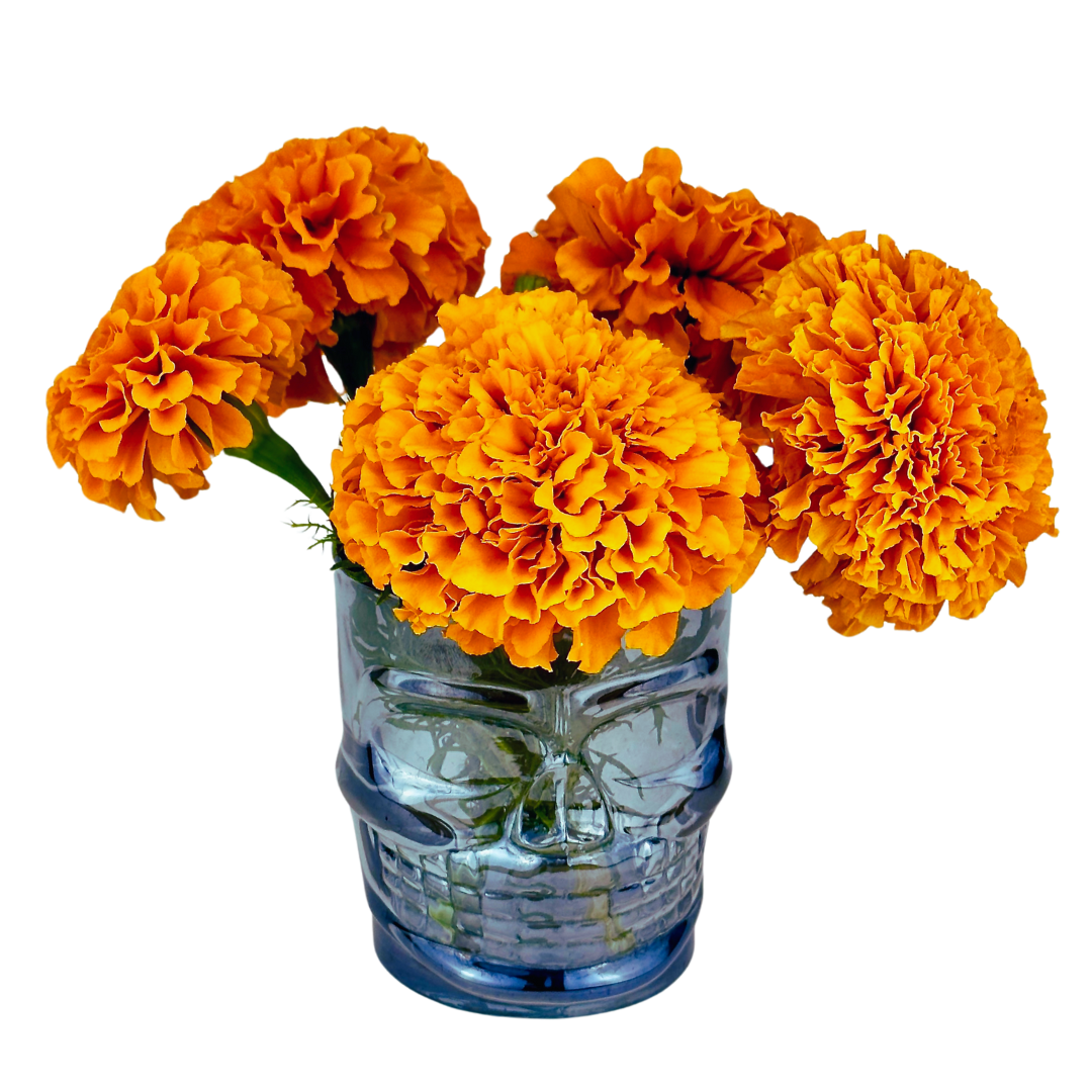 LGP Bundle - Farmers Bundle (Spring)
