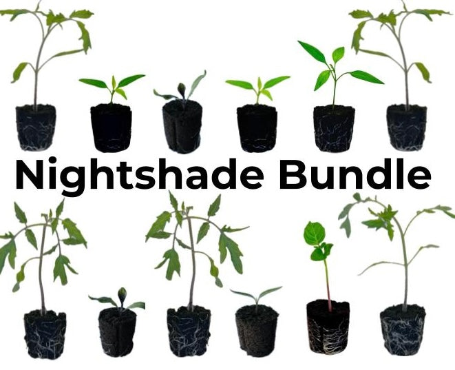 LGP Bundle - Nightshade Bundle (Spring)