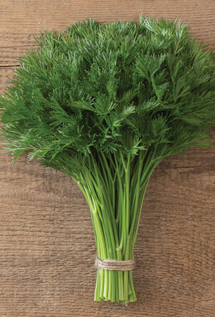 LGP Bundle - Herb Mix (Spring)