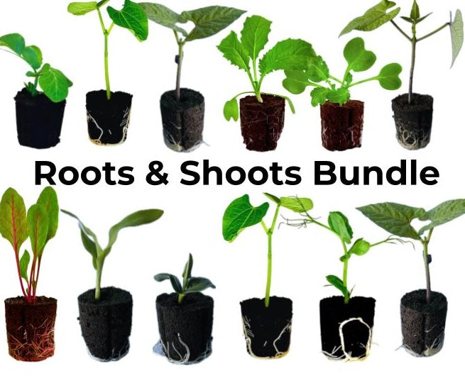 LGP Bundle - Roots & Shoots Bundle (Spring)
