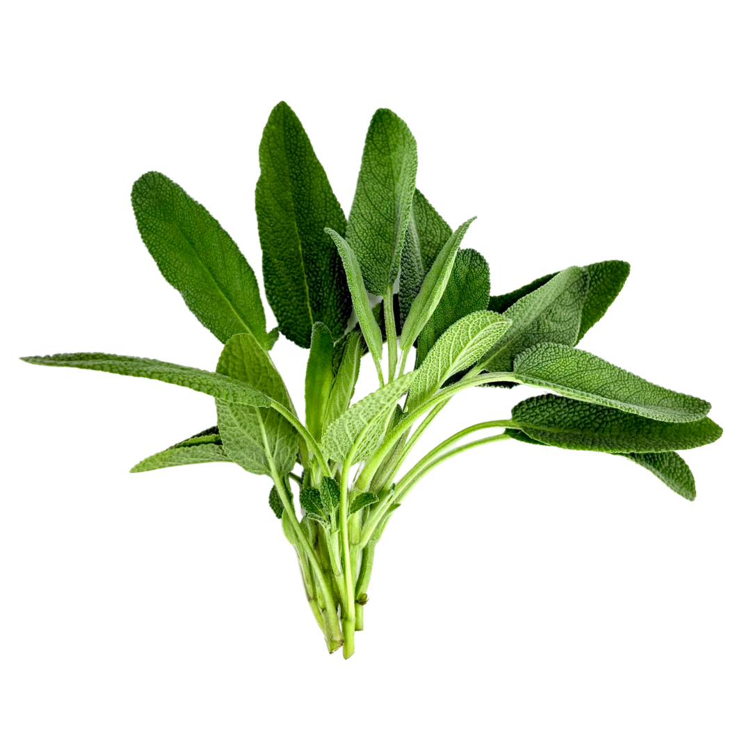 LGP Bundle - Herb Mix (Spring)