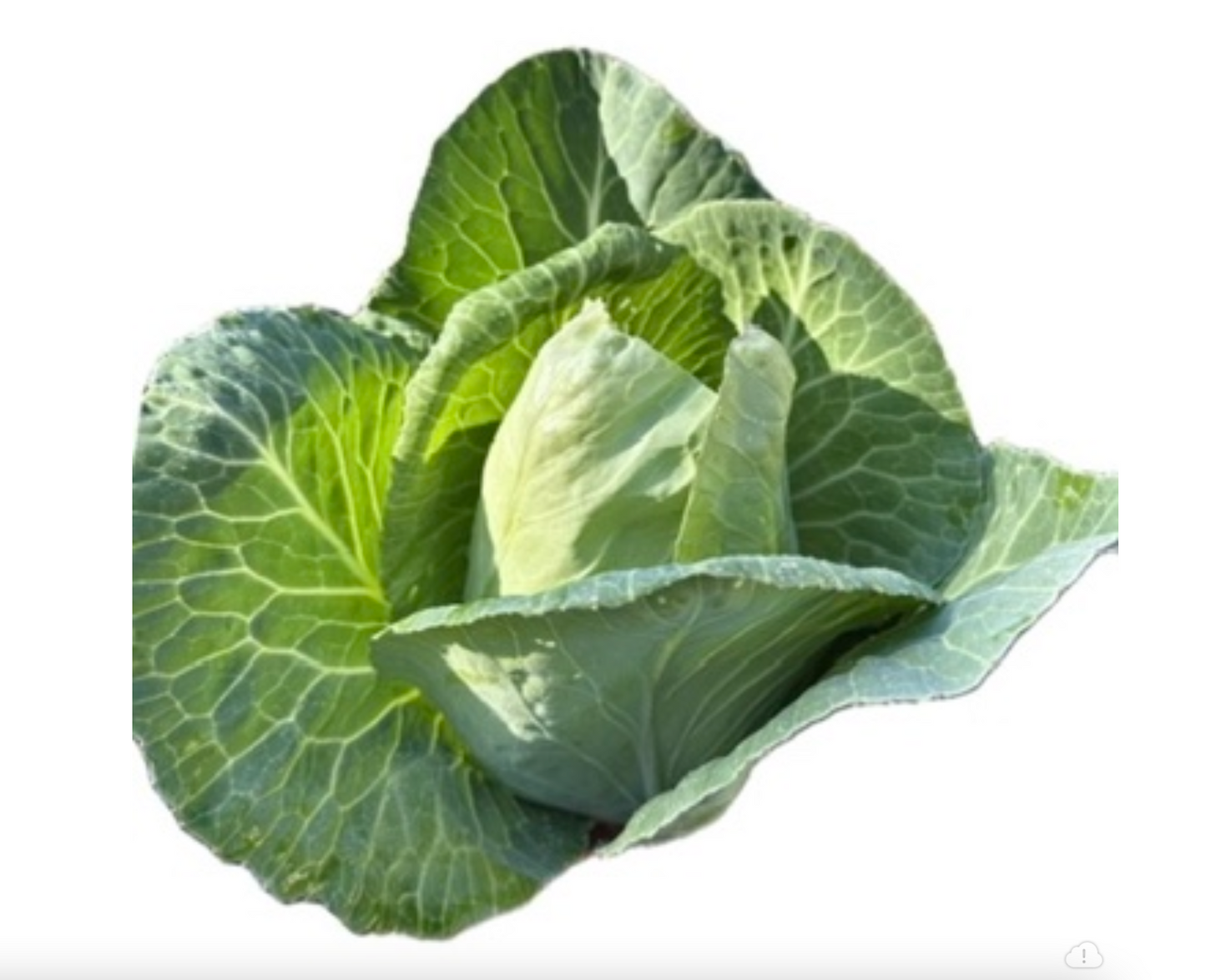 LGP Bundle - Veggie Mix (Spring)