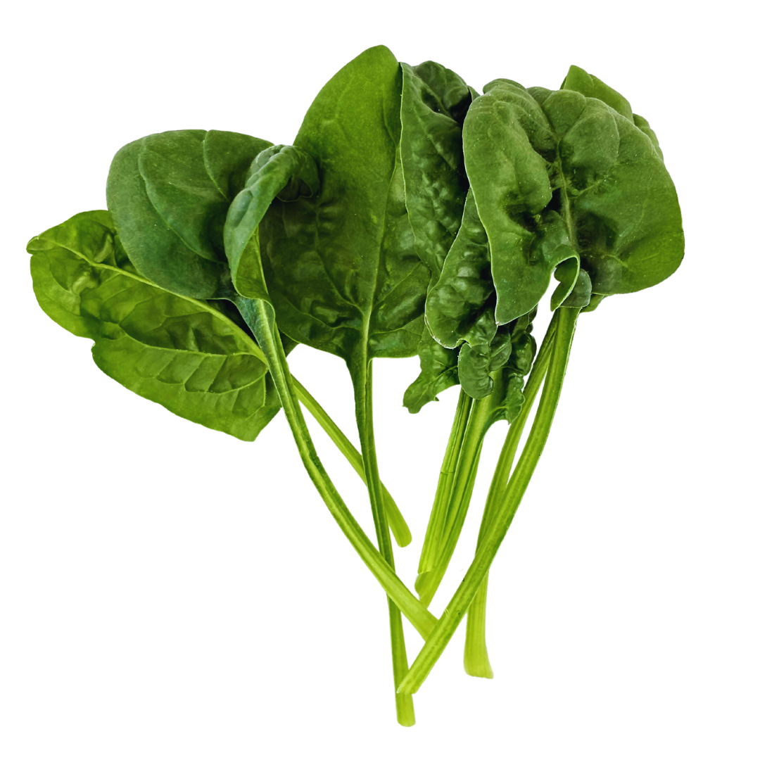 LGP Bundle - Greens Mix (Spring)