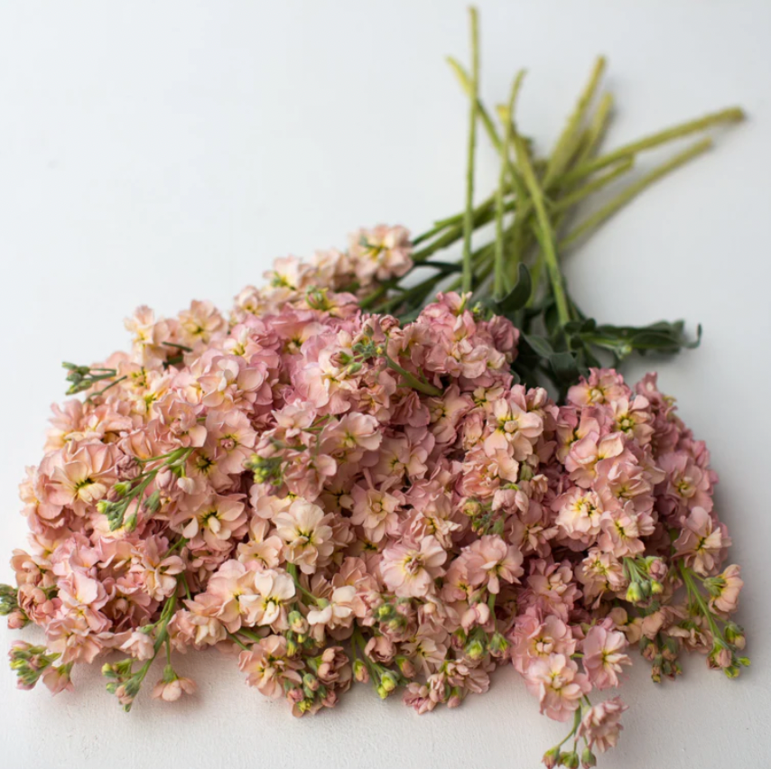 LGP Bundle - Flower Bundle (Spring)