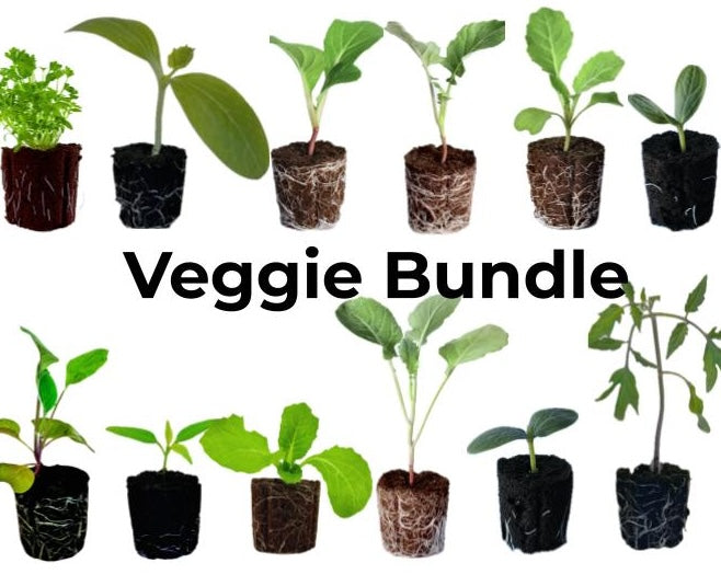 LGP Bundle - Veggie Mix (Spring)