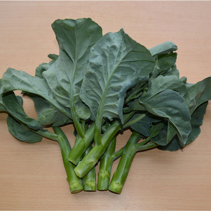 LGP Bundle - Veggie Mix (Spring)