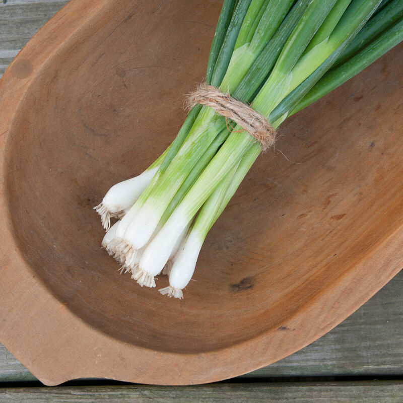 LGP Bundle - Farmers Bundle (Spring)