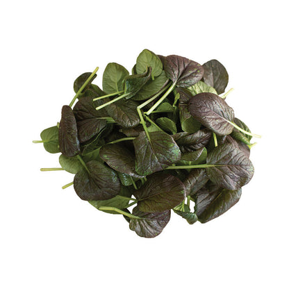 LGP Bundle - Greens Mix (Spring)