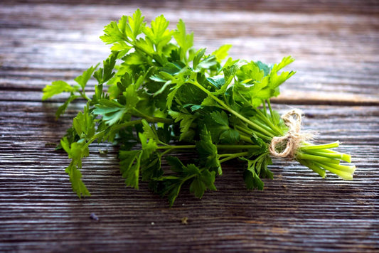 Italian Parsley