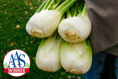 Antares Hybrid Fennel F1