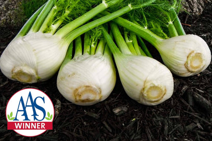 Antares Hybrid Fennel F1