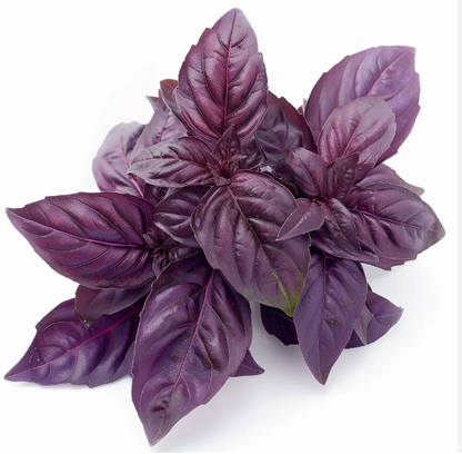 LGP Bundle - Herb Mix (Spring)