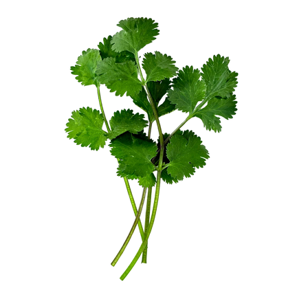 LGP Bundle - Herb Mix (Spring)