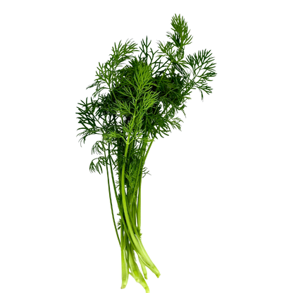 LGP Bundle - Herb Mix (Spring)