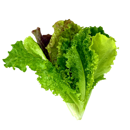 LGP Bundle - Lettuce Mix (Spring)