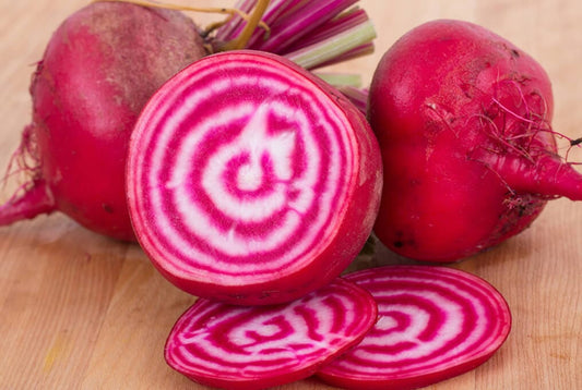 Chioggia Beet