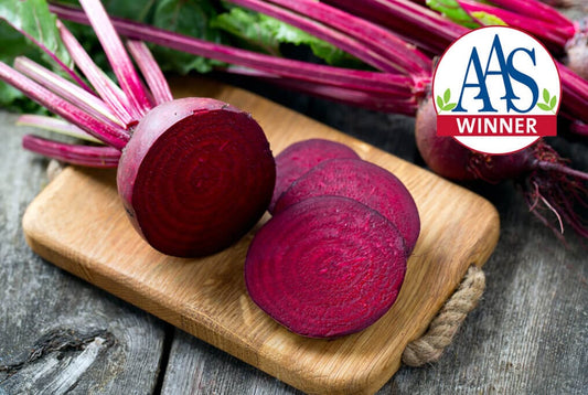 Detroit Dark Red Beet